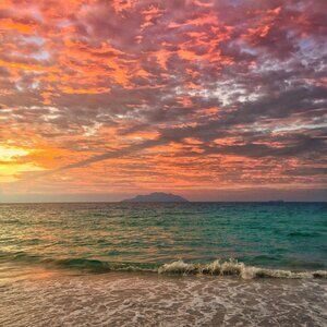 Meet your Posher, Diana